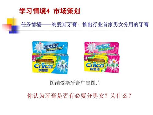 市场营销第二版学习情境4市场策划简明教程ppt课件
